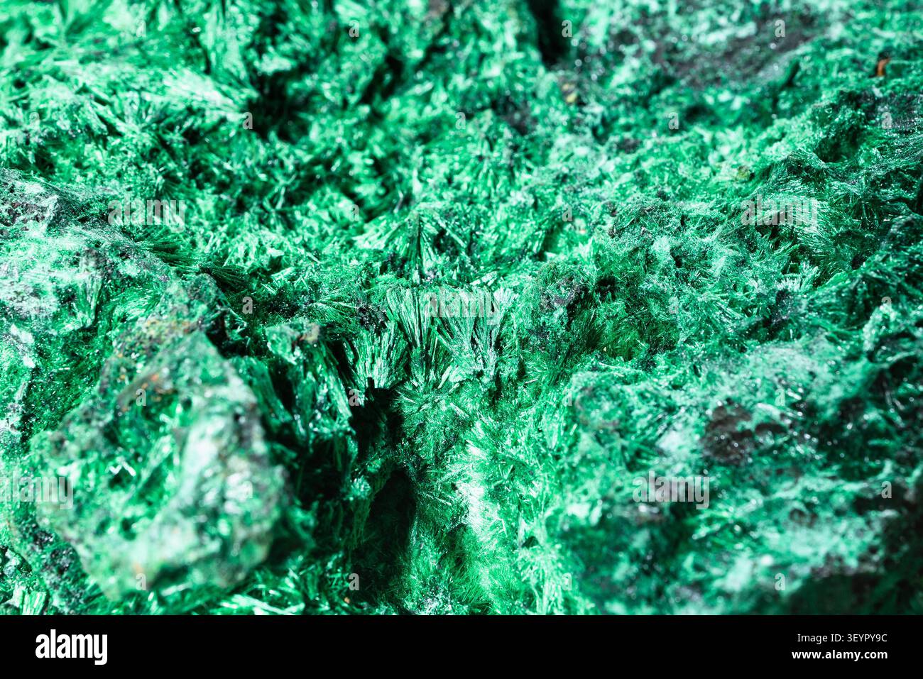 Hintergrund aus natürlichem Mineral - Oberfläche des natürlichen Fasermalachitgesteins Nahaufnahme Stockfoto