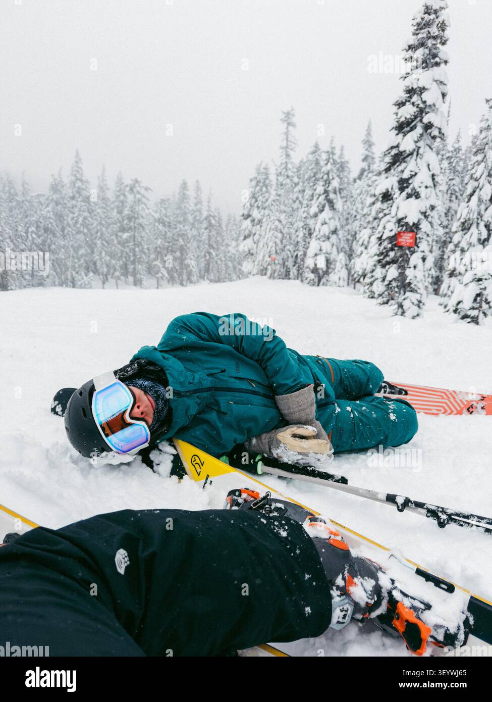 Ein Skifahrer liegt in tiefem Pulverschnee nach einem Sturz auf einem schneebedeckten Hang, umgeben von schneebeladenen immergrünen Bäumen an einem stürmischen Winter-Skitag. Stockfoto