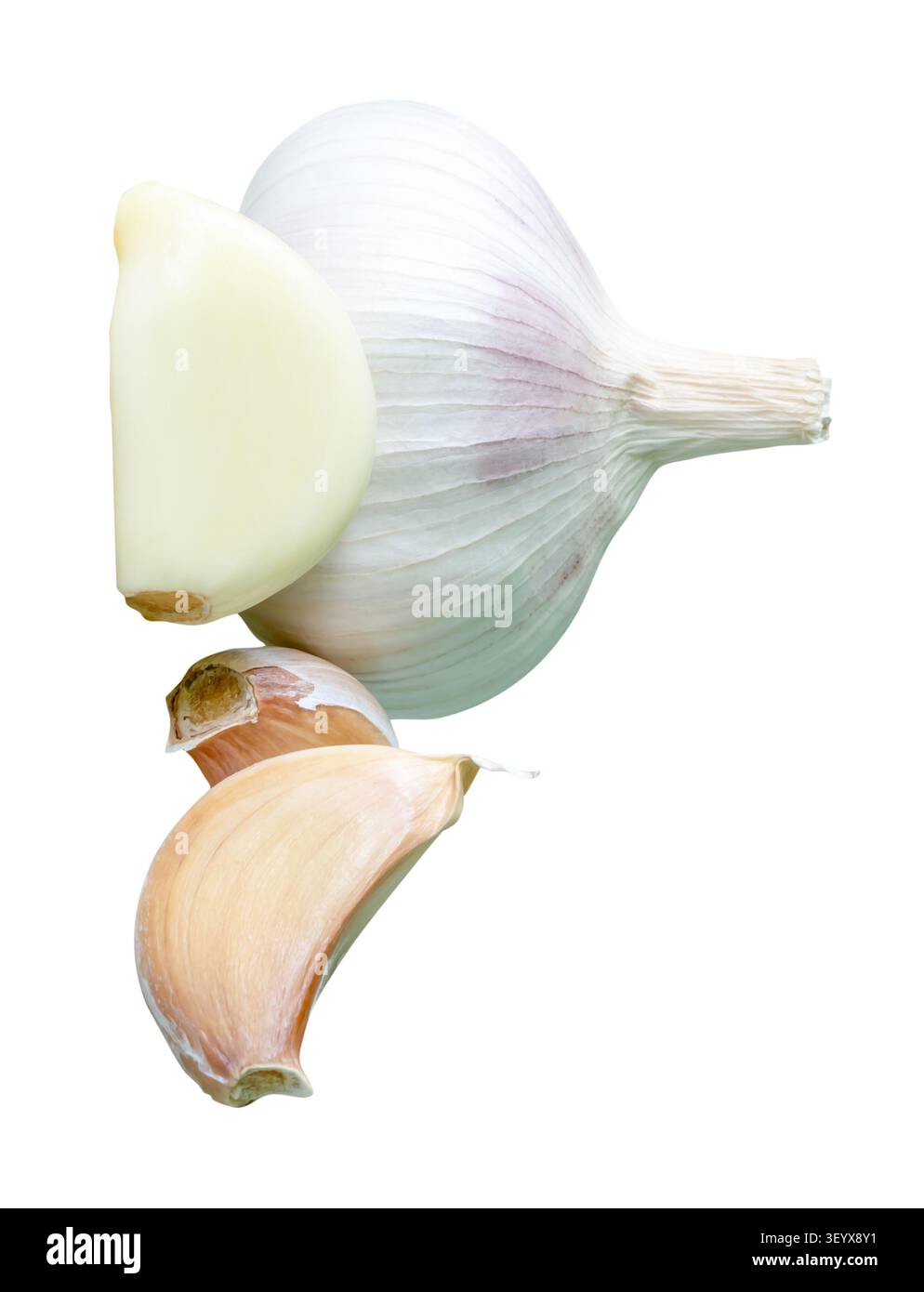 Knoblauchzwiebeln mit Zehen im Haufen sind auf weißem Hintergrund mit Beschneidungspfad isoliert. Stockfoto