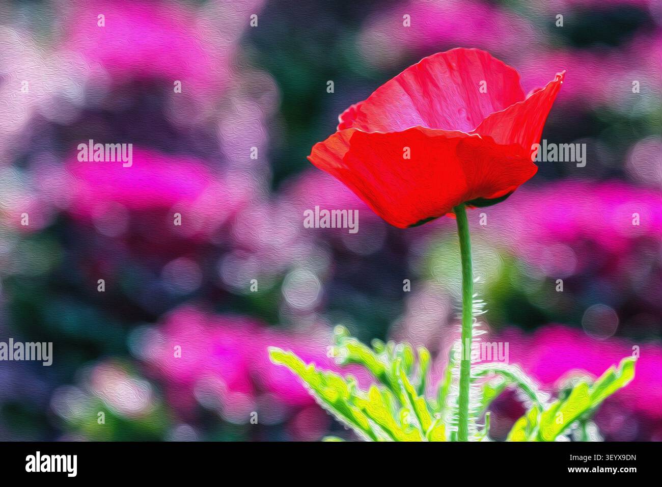 Abstraktes Ölgemälde mit rotem Mohn - große, leidenschaftliche botanische Kunst mit lebendiger malerischer Textur und auffälligem Blumenanhänger für die Wanddekoration Stockfoto