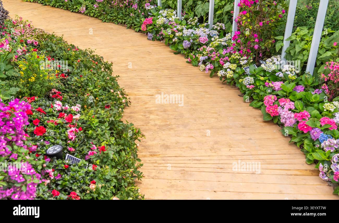 Bunte Blumen wachsen auf Holzplattform Stockfoto