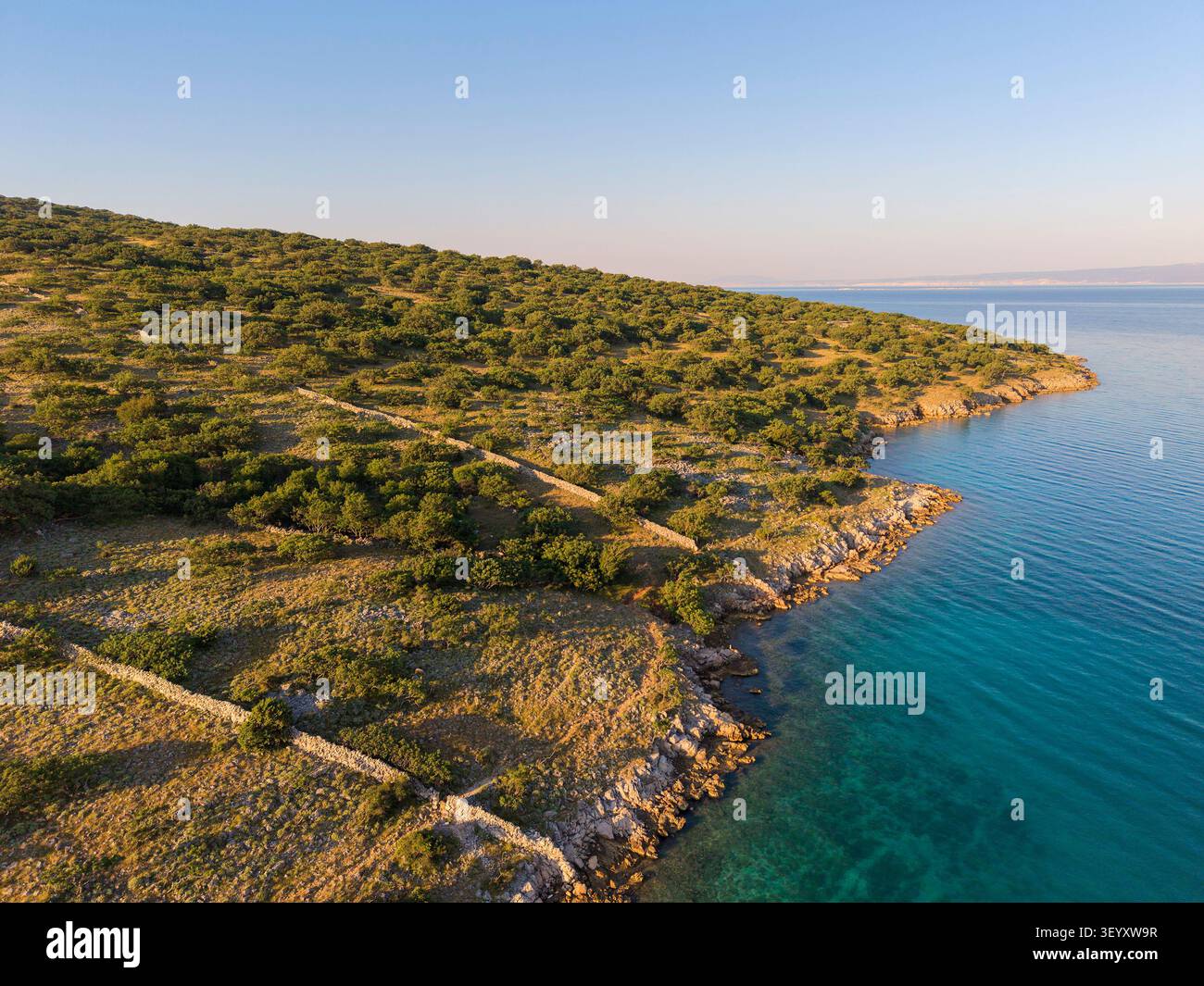 Von oben aus der Vogelperspektive auf die felsige Adriaküste und den Wald auf der Insel Krk, Kroatien Stockfoto