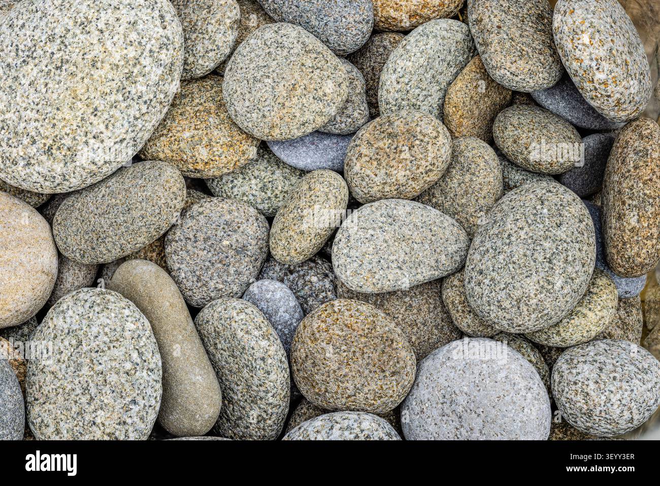 Verwitterte Kieselsteine an einem Strand in Südwales Stockfoto