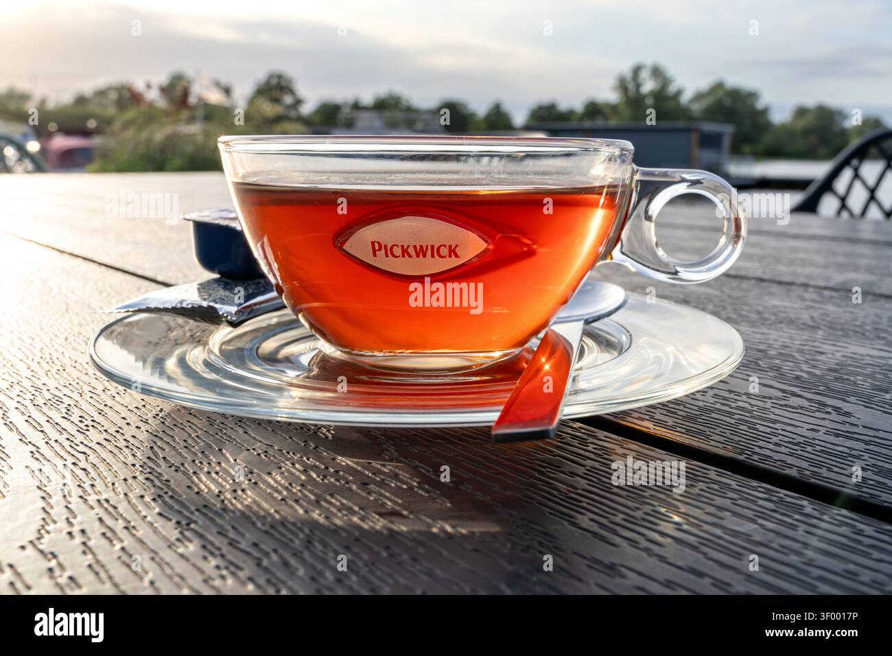 Eine Tasse Pickwick schwarzer Tee serviert in einer transparenten Glasschale auf einer klaren Untertasse Stockfoto
