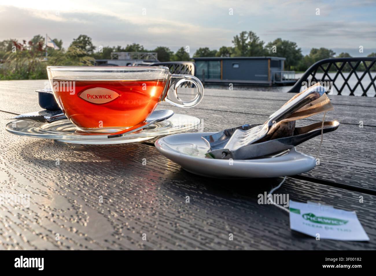 Eine Tasse Pickwick schwarzer Tee serviert in einer transparenten Glasschale auf einer klaren Untertasse Stockfoto