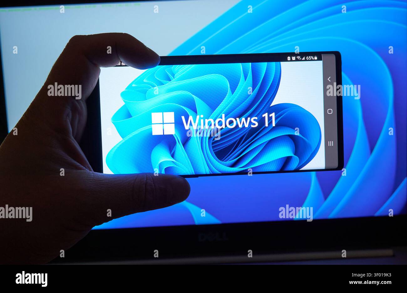 CHICAGO, IL, USA – 15. JULI 2021: Ein Nahaufnahme-Bild zeigt eine Hand, die ein Smartphone hält und das Windows 11-Logo deutlich sichtbar auf dem Bildschirm angezeigt wird. Die Stockfoto