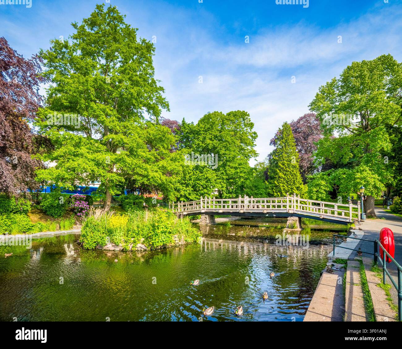 Priory Park, in Great Malvern, Worcestershire, im Frühling, mit Fußgängerbrücke und Enten. Stockfoto