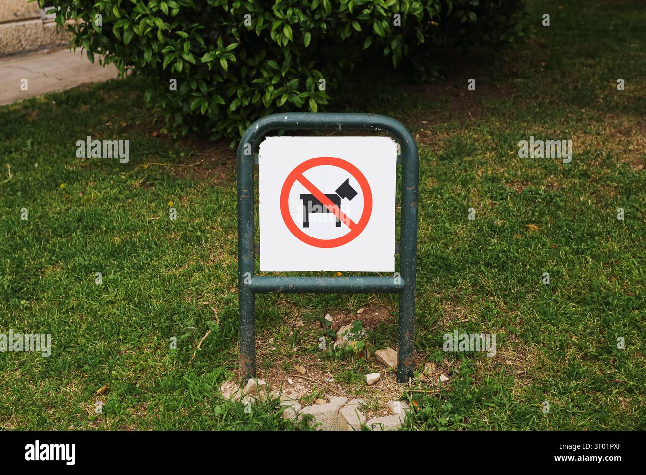 Schild „Hunde verboten“ auf grünem Rasen in einem öffentlichen Außenbereich angebracht. Regelhintergrund für Haustierbeschränkungen Parkregeln Sauberkeit Sicherheit Stockfoto