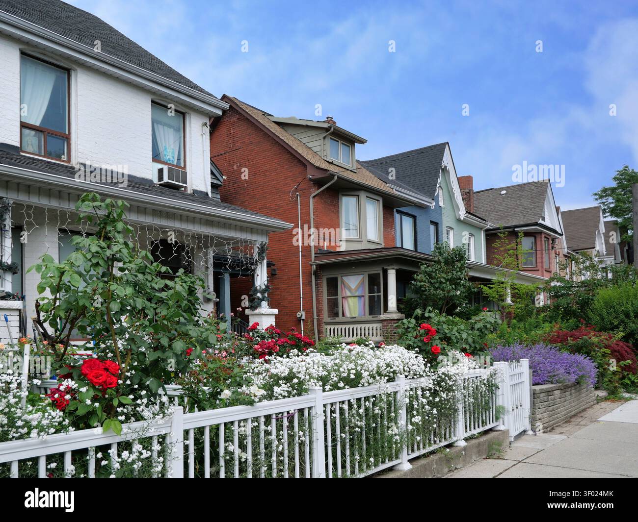 Wohnstraße mit Blumen in kleinen Vorgärten Stockfoto