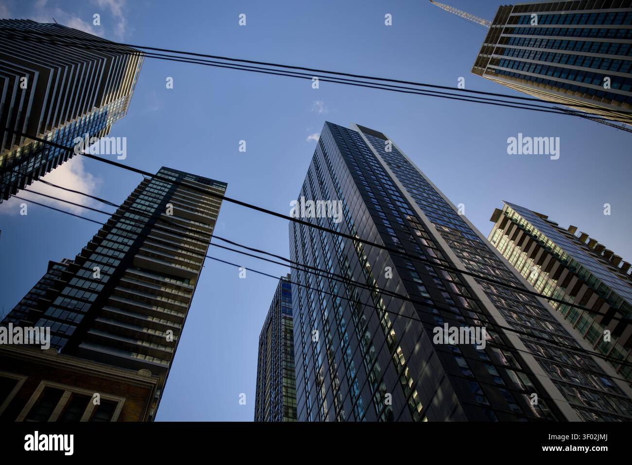 Blick Nach Oben Auf Glashochhäuser, Die Toronto Kanada Zusammenführen Stockfoto