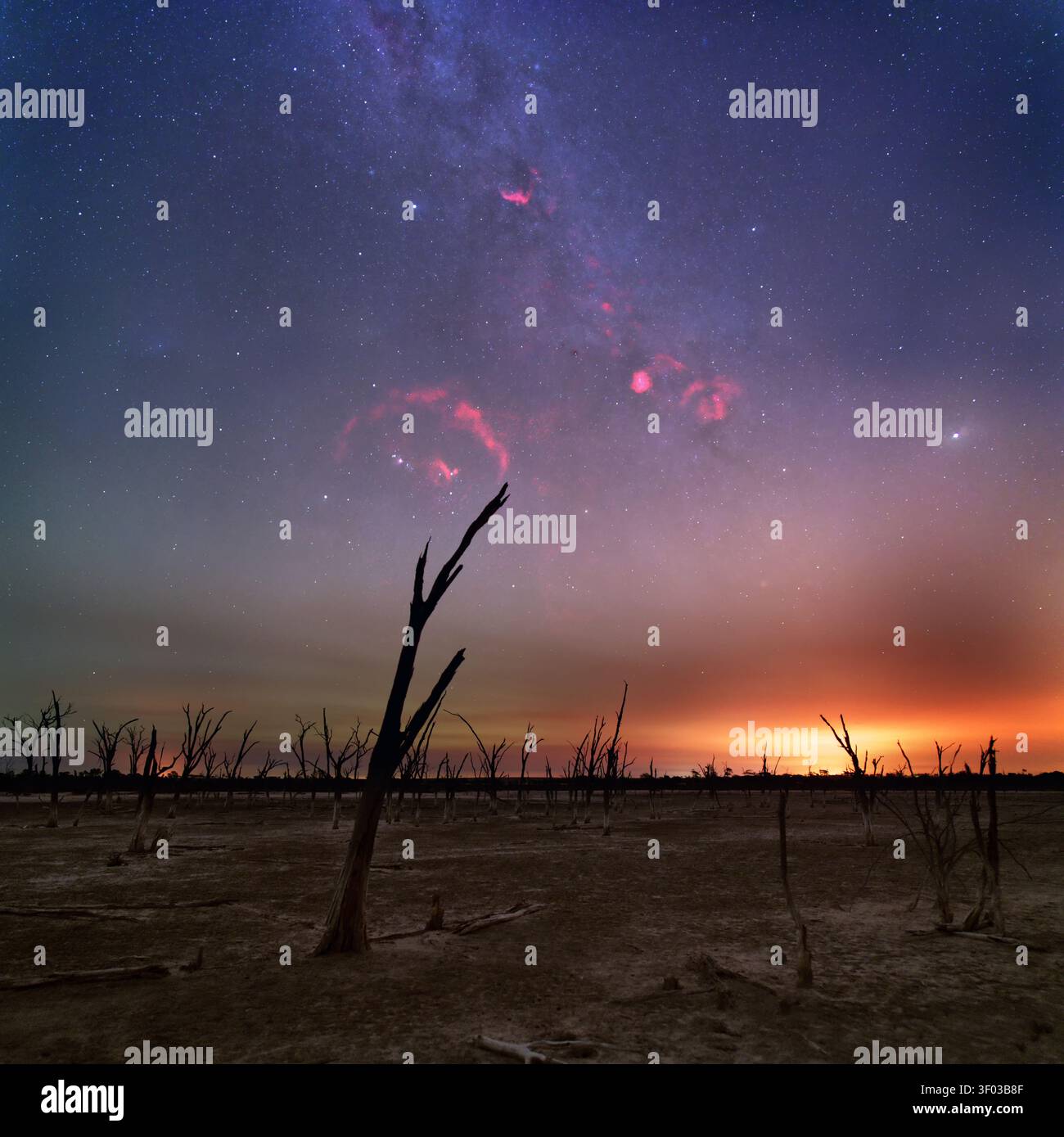 Die Milchstraße und Orion (mit seinen markanten Wasserstoffnebeln) über einem ausgetrockneten Salzsee in Westaustralien. Das entfernte Licht stammt von einem Buschfeuer. Stockfoto