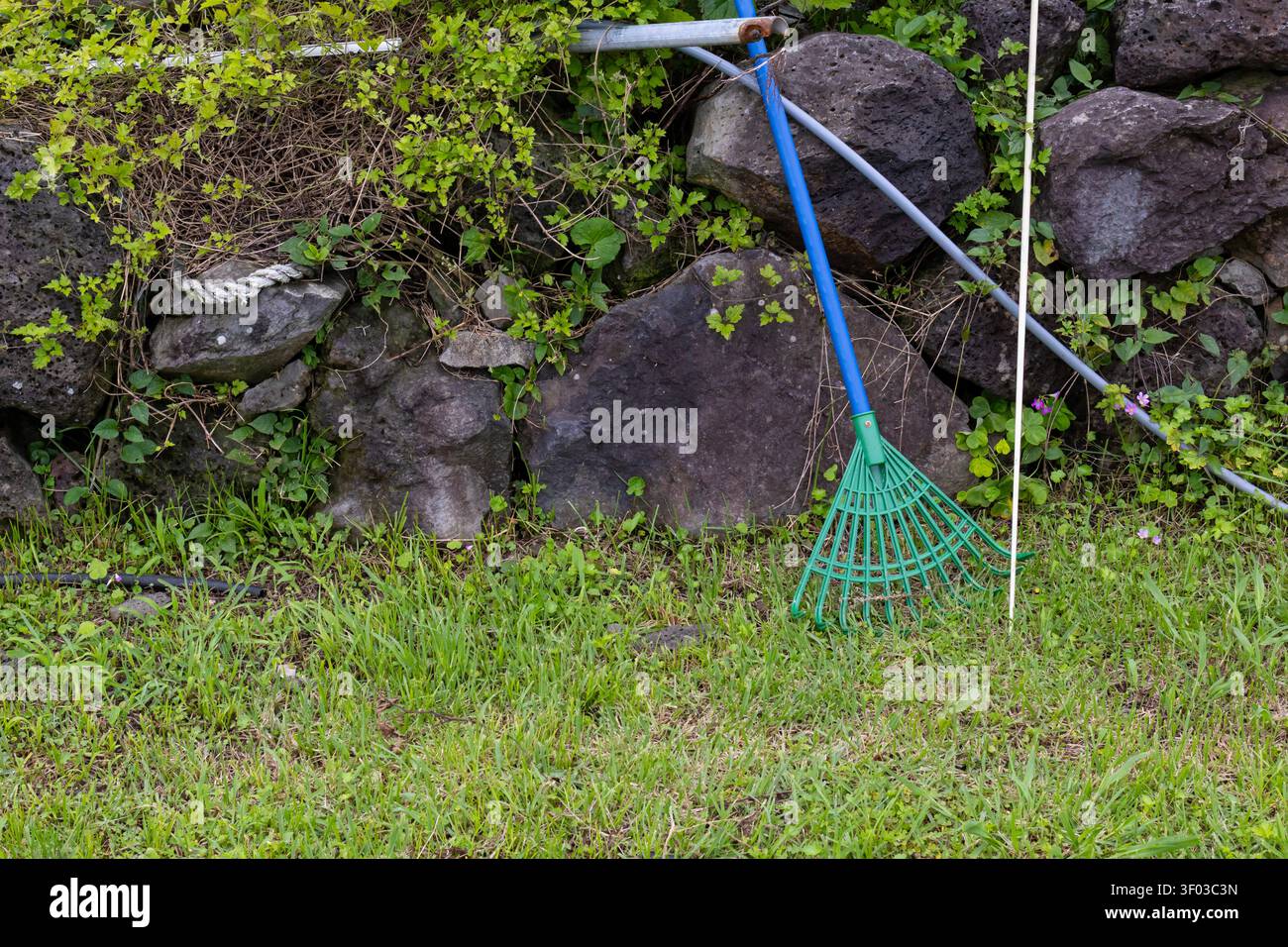 Plastikgarten-Rake lehnt sich an die Steinmauer im grünen Hinterhof Stockfoto