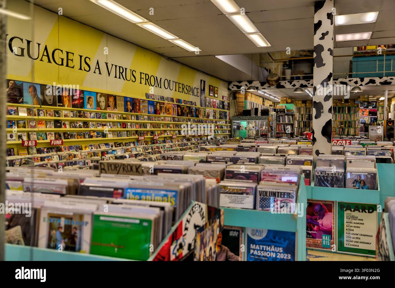 Innenraum des Velvet Music Record Stores in Delft, Südholland, Niederlande. Stockfoto