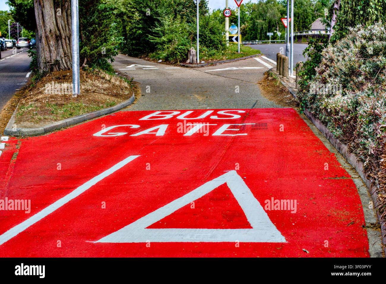 Bus Gate Road Markings, North Western Avenue, Watford, Hertfordshire, England, GROSSBRITANNIEN Stockfoto