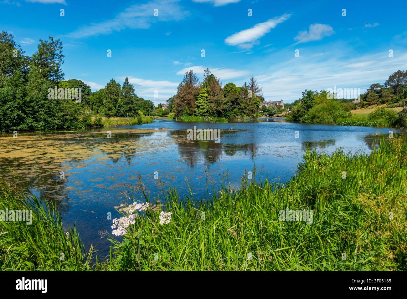 Keptie Pond in Arbroath, Angus, Schottland Stockfoto