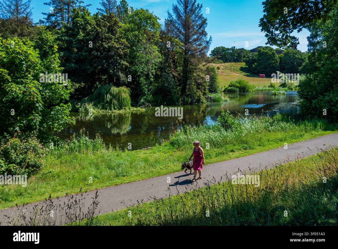 Keptie Pond in Arbroath, Angus, Schottland Stockfoto