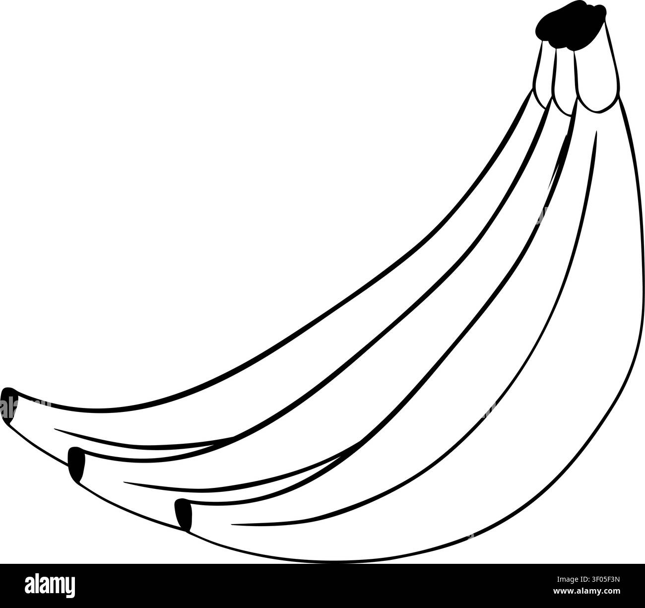 Bananenbunch Schulkomposition Schwarz-weiß handgezeichnete Illustration. Vektorgrafik Strichtinte. Drei Früchte für Lebensmittel und Lebensmittel Branding für p Stock Vektor