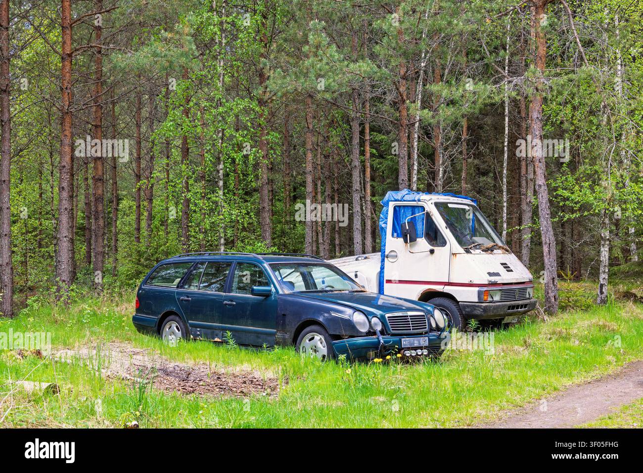 Alte verlassene Müllwagen im Wald Stockfoto