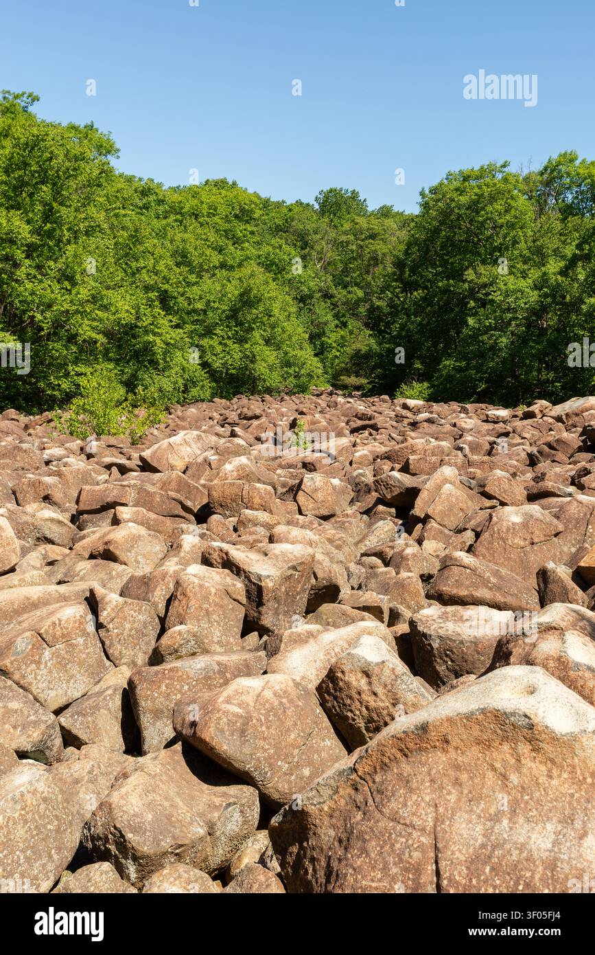 Das Ringing Rocks Boulder Field im Ringing Rocks County Park im Bucks County, Pennsylvania. Stockfoto