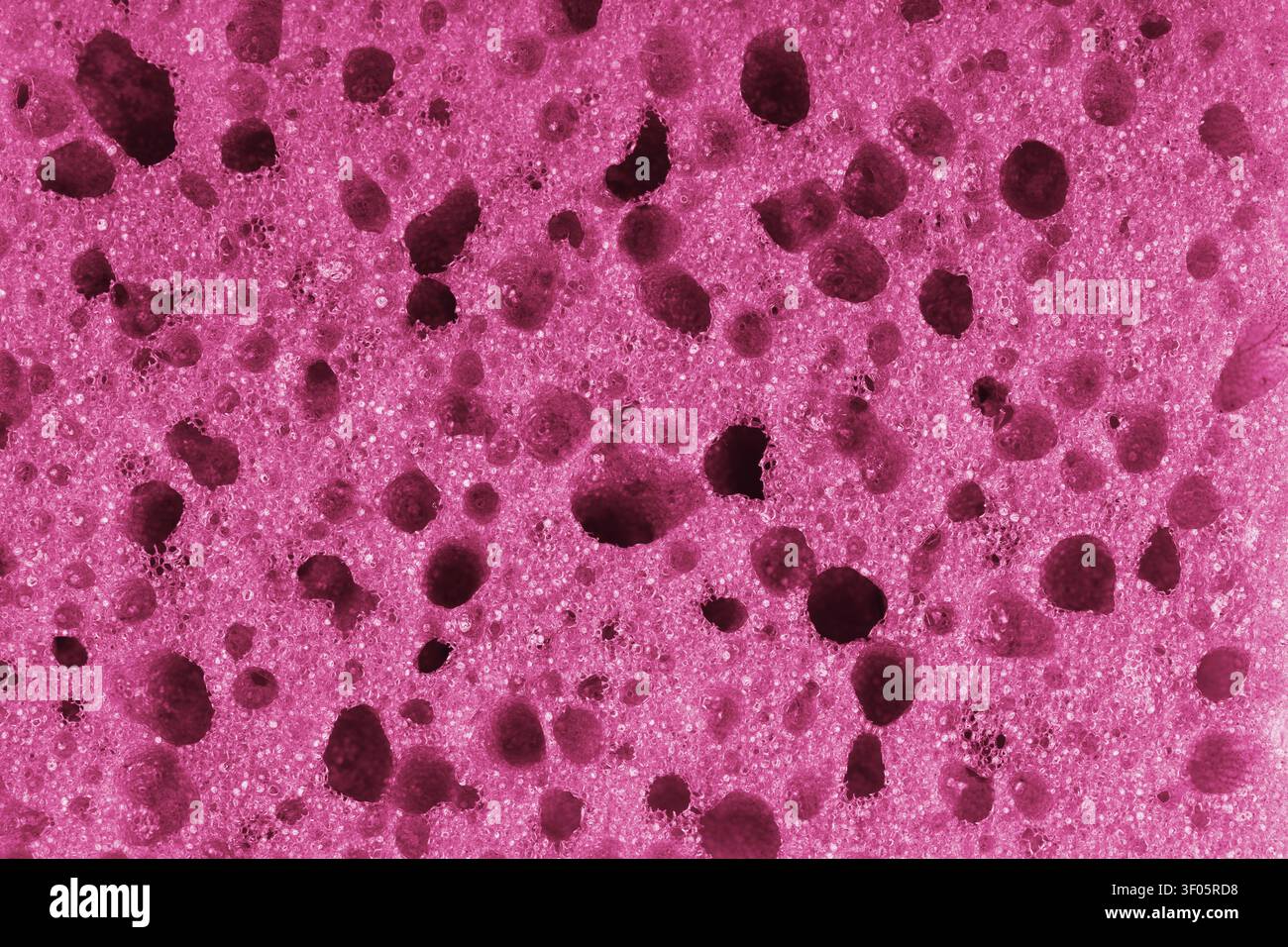 Makro, Nahaufnahme einer rosa Schaumschwammtextur mit poriger, schwammiger und blasiger Oberflächenstruktur, geeignet für abstrakte Hintergründe. Geschäumtes Polyurethan Stockfoto
