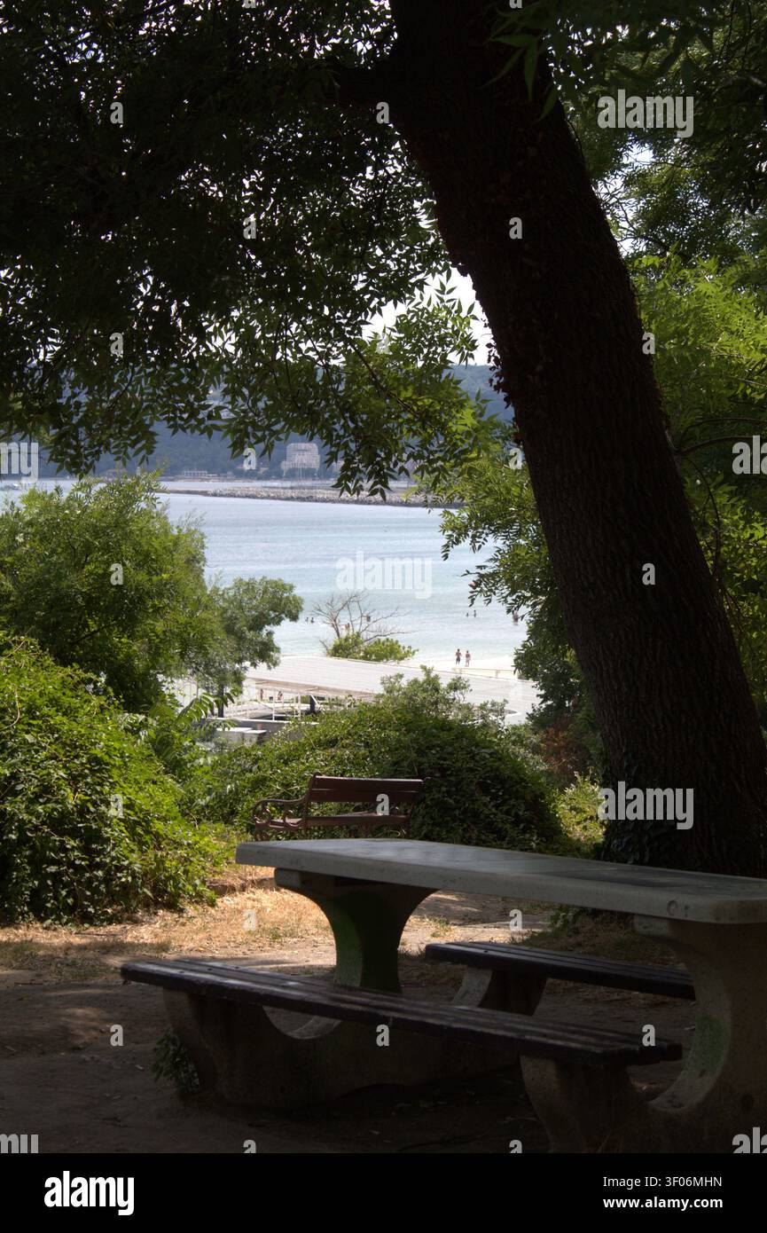 Schattiger Picknickplatz mit Holztisch und Bänken mit Blick auf ein friedliches Meer, umgeben von üppigen grünen Bäumen an einem sonnigen Sommertag. Stockfoto