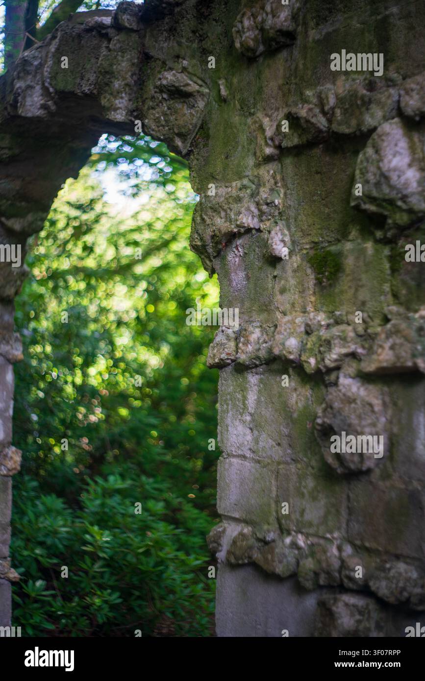 Fokus auf die verwitterte mittelalterliche Steinbogenstruktur, die mit grünem Moos bedeckt ist und sich zu einem hellen, unscharfen Waldhintergrund öffnet. Lerryn, Vereinigtes Königreich. Stockfoto