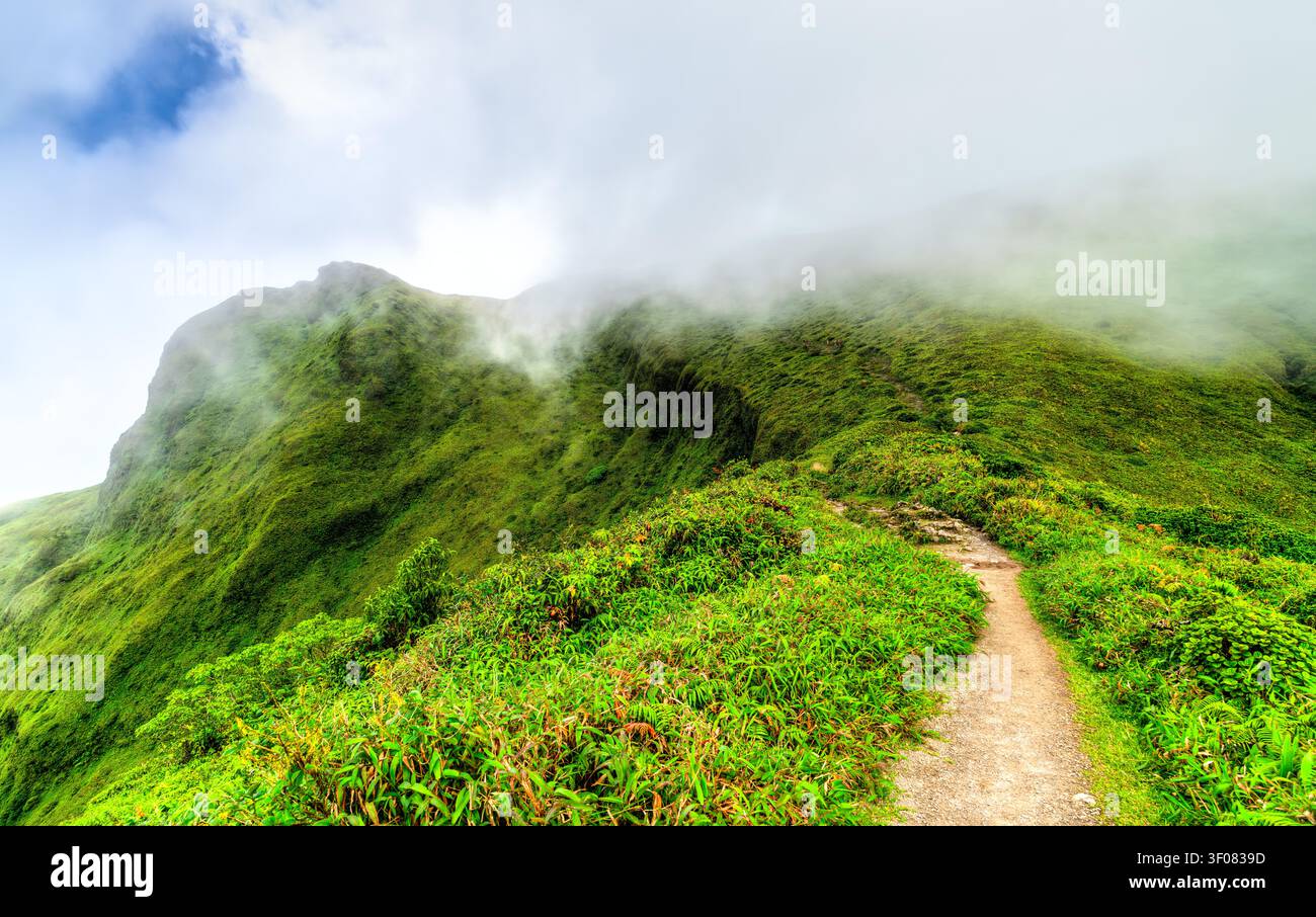 Malerischer Wanderweg entlang des üppig grünen Berges des Mount Pelee Vulkans, umgeben von Wolken und Nebel, Martinique, Karibik. Stockfoto