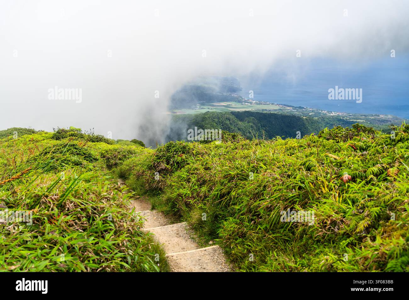 Ein Wanderweg führt auf den Mount Pelee in Martinique, der einen malerischen Bergpfad mit grünem Gras, sanften Wolken und dem Meer darunter zeigt Stockfoto