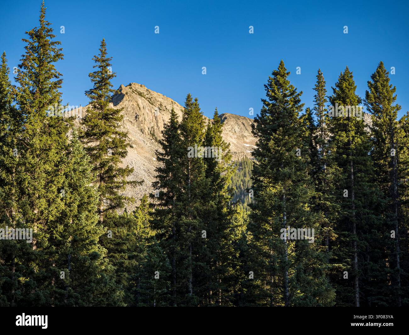 Gipfel hinter Lost Lake Campground, Kebler Pass, Colorado. Stockfoto