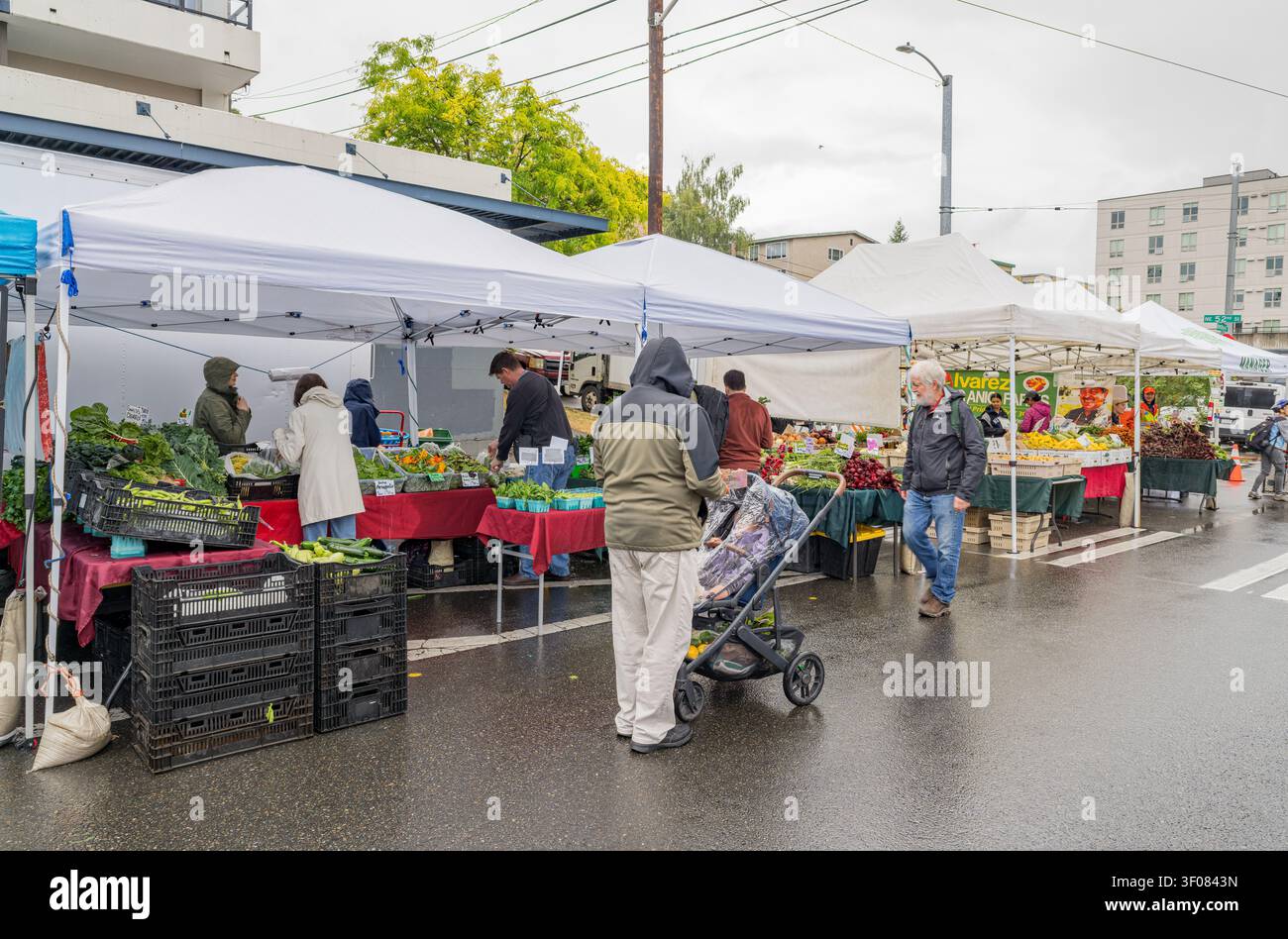 Washington State, USA, 27. Juni 2026 - an einem bewölkten Tag stöbern die Menschen an weißen Zeltständen auf einer nassen Straße nach frischem Gemüse und Obst Stockfoto