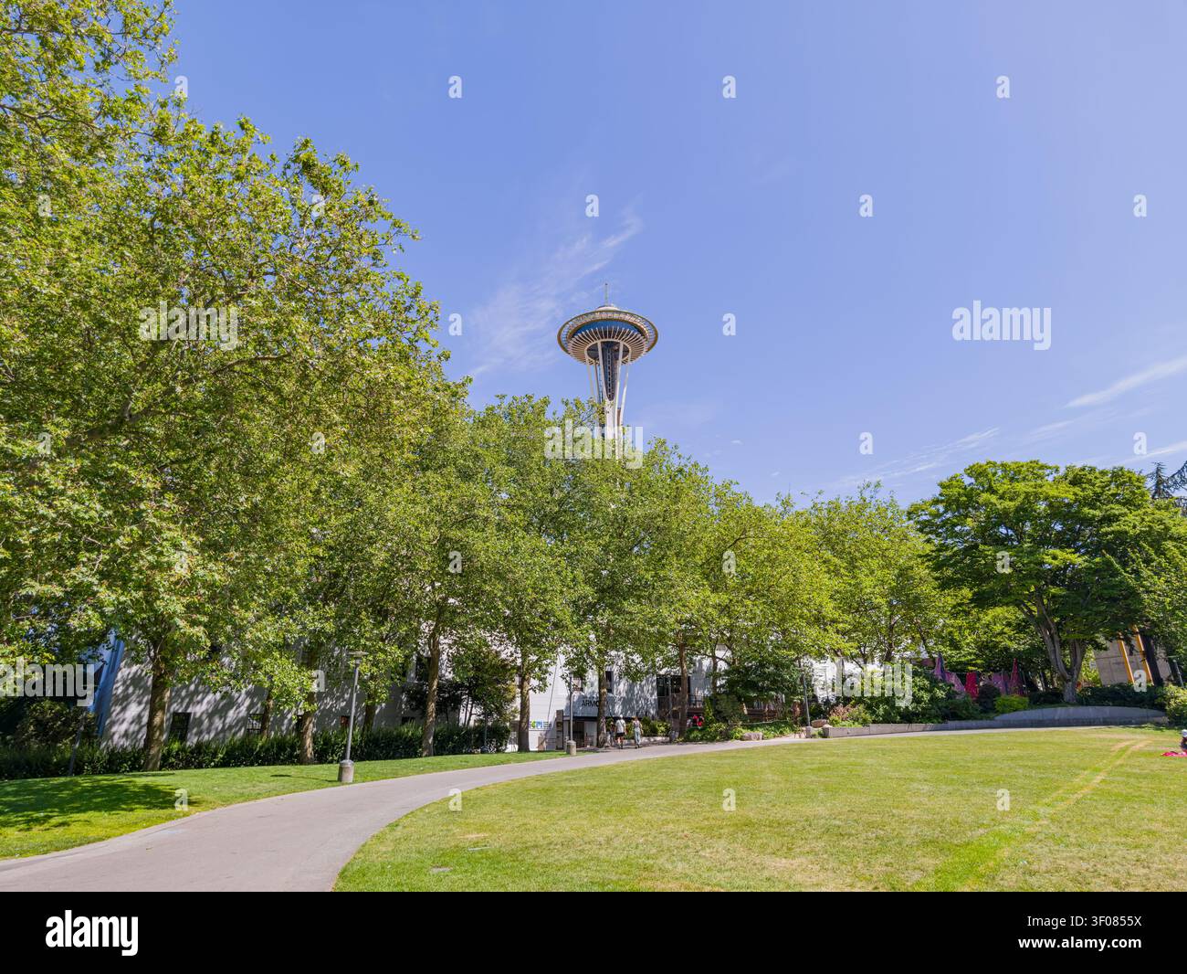 Washington State, 21. Juni 2026 - die legendäre Space Needle erhebt sich über einer Linie grüner Bäume in einem sonnigen Park mit einem gepflasterten Fußweg und einem grasbewachsenen Rasen im Meer Stockfoto