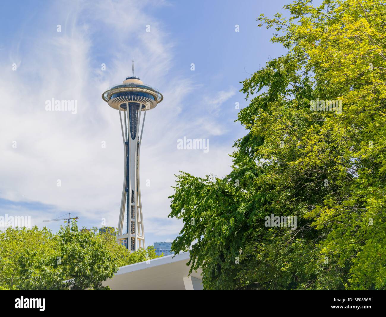 Washington State, 21. Juni 2026 - der legendäre Space Needle Aussichtsturm steht hoch vor einem blauen Himmel mit schroffen Wolken, eingerahmt von leuchtendem Grün Stockfoto