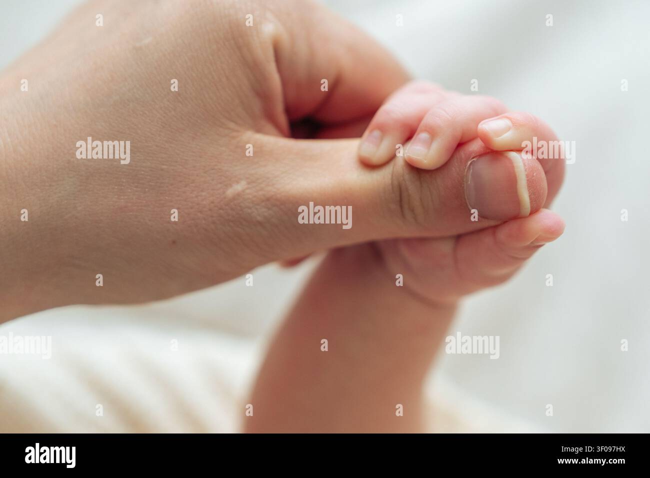 Weicher minimaler Hintergrund mit Babyhand. Platz für Text. Konzept von Fürsorge, Sicherheit, Vertrauen und Mutterschaft Stockfoto