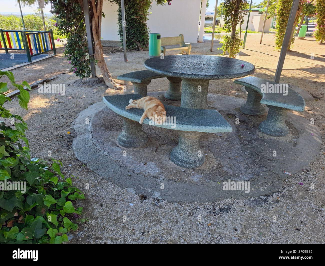 Eine rote Katze ruht bequem auf einer Steinbank in einem Außenbereich. Die Szene zeigt üppige Grünpflanzen und eine ruhige Atmosphäre, perfekt zum Entspannen Stockfoto