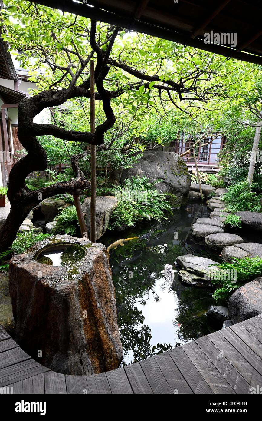Traditioneller japanischer Innenhofgarten mit einem Koi-Teich, einem natürlichen Steinwasserbecken, Trittsteinen und gestalteten Bäumen im Asakura Museum of Sculptur Stockfoto
