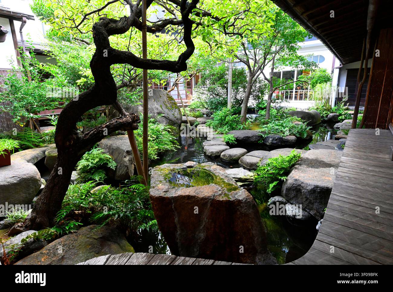 Traditioneller japanischer Innenhofgarten mit einem Koi-Teich, einem natürlichen Steinwasserbecken, Trittsteinen und gestalteten Bäumen im Asakura Museum of Sculptur Stockfoto