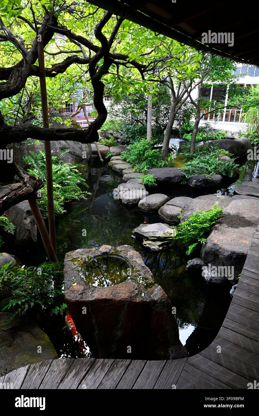 Traditioneller japanischer Innenhofgarten mit einem Koi-Teich, einem natürlichen Steinwasserbecken, Trittsteinen und gestalteten Bäumen im Asakura Museum of Sculptur Stockfoto