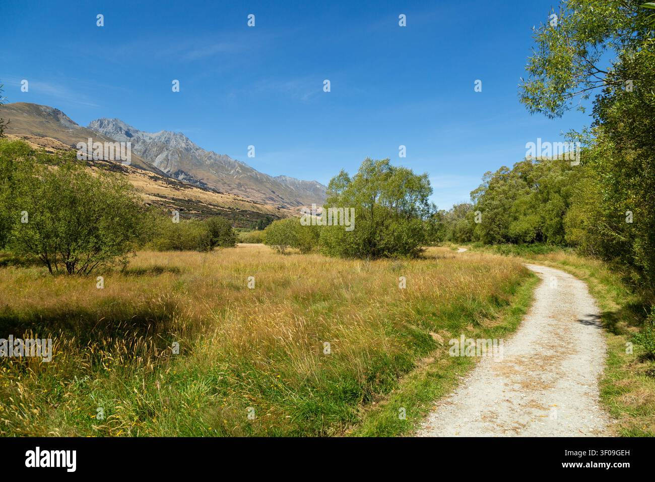 Der Pfad durch den Glenorchy Lagoon Scenic Walkway, Glenorchy, Otago, Neuseeland Stockfoto