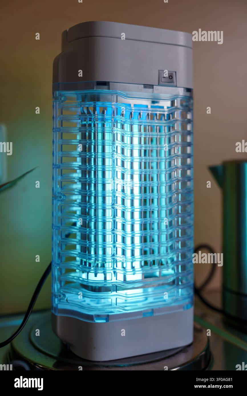 Elektrische Insektenvernichtungslampe leuchtet blau im Innenraum Stockfoto