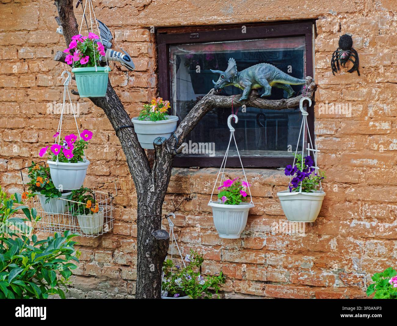 Nahaufnahme von Plastiktöpfen, die an einem verdorrten Baum mit wunderschönen mehrfarbigen Petunien in voller Blüte in einem Sommergarten in Dnipro, Ukraine, hängen, vor Stockfoto