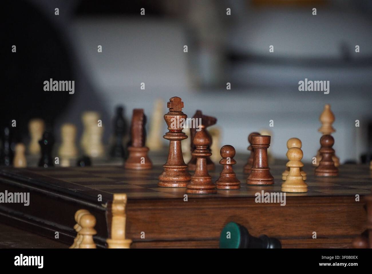 Eine Seitenansicht eines aufgestellten Holzschachbretts mit allen klassischen Figuren an ihrem Platz. Die geringe Tiefenschärfe erzeugt eine weiche Hintergrundunschärfe, hoch Stockfoto