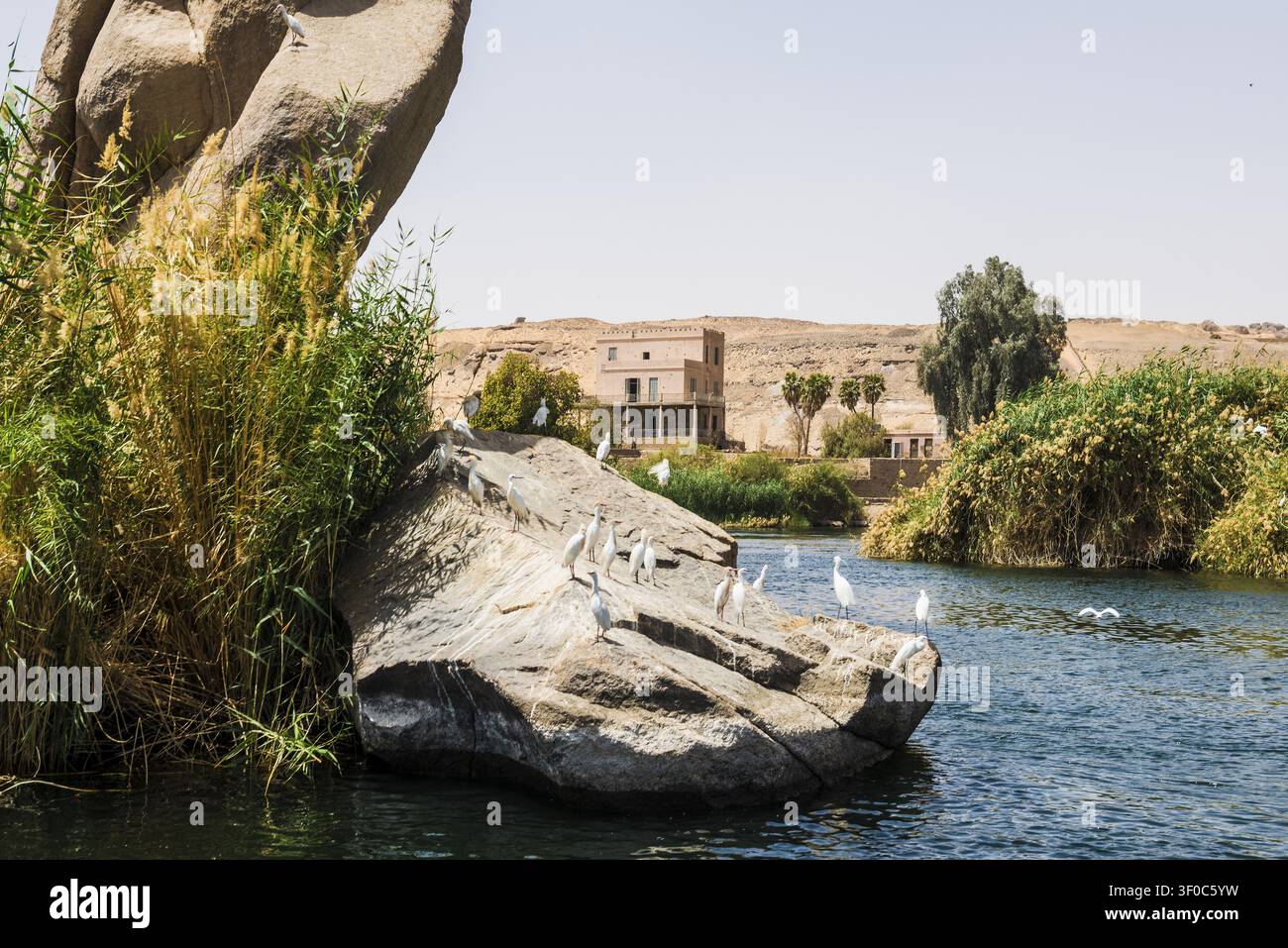Flusslandschaft des Nils und Felsen, Assuan, Oberägypten, Ägypten Stockfoto