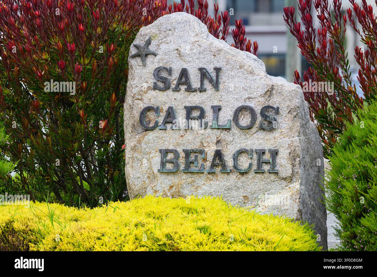 Monterey, CA, USA - 15. Juni 2026; Stein-Schild am San Carlos Beach mit Metallbuchstaben in Monterey, Kalifornien, ein beliebter Ort für Seelöwen Kaliforniens Stockfoto