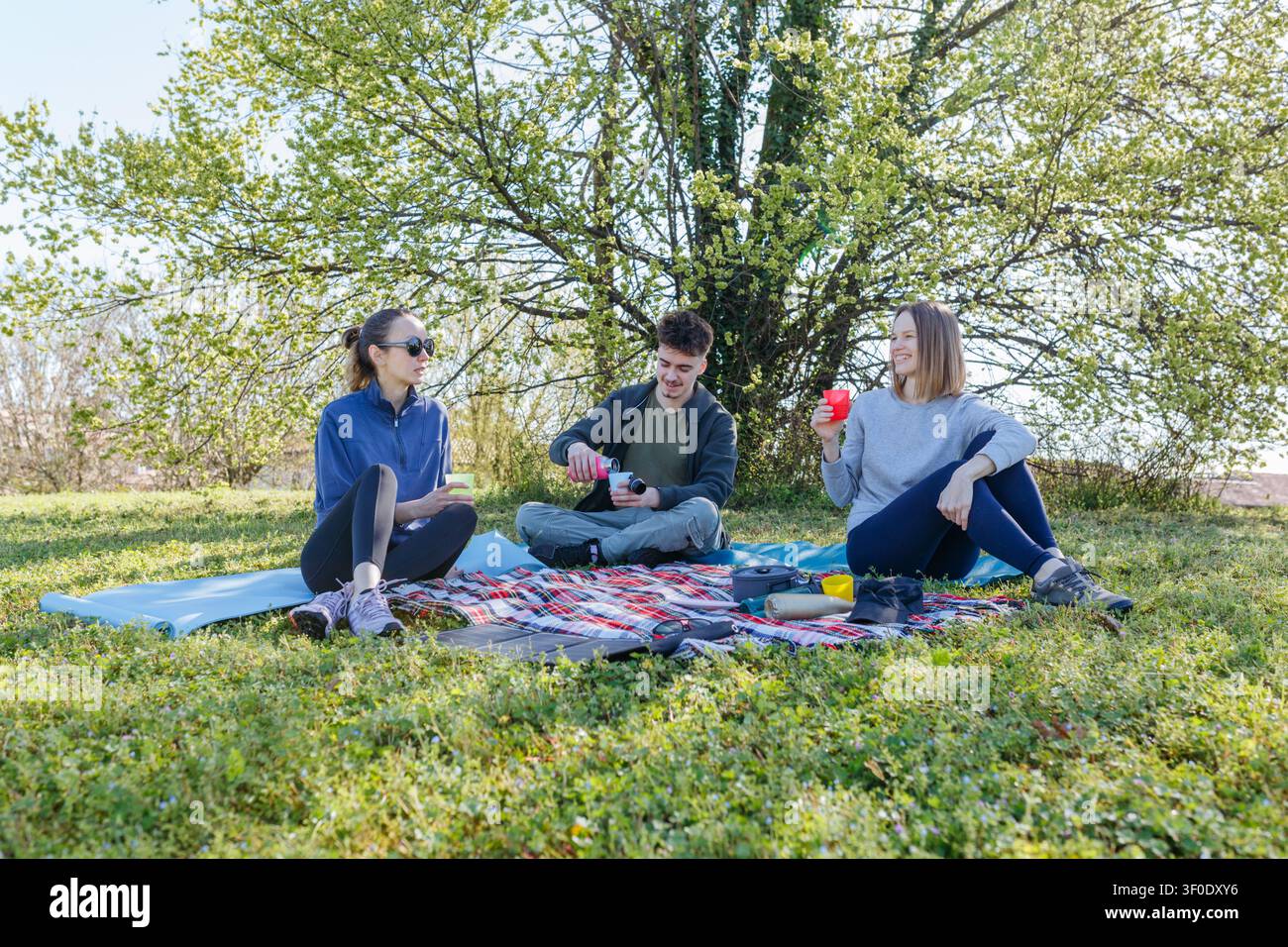 Gruppe von Freunden, die ein Picknick mit einem tragbaren Solarpanel in einem sonnigen Park machen Stockfoto