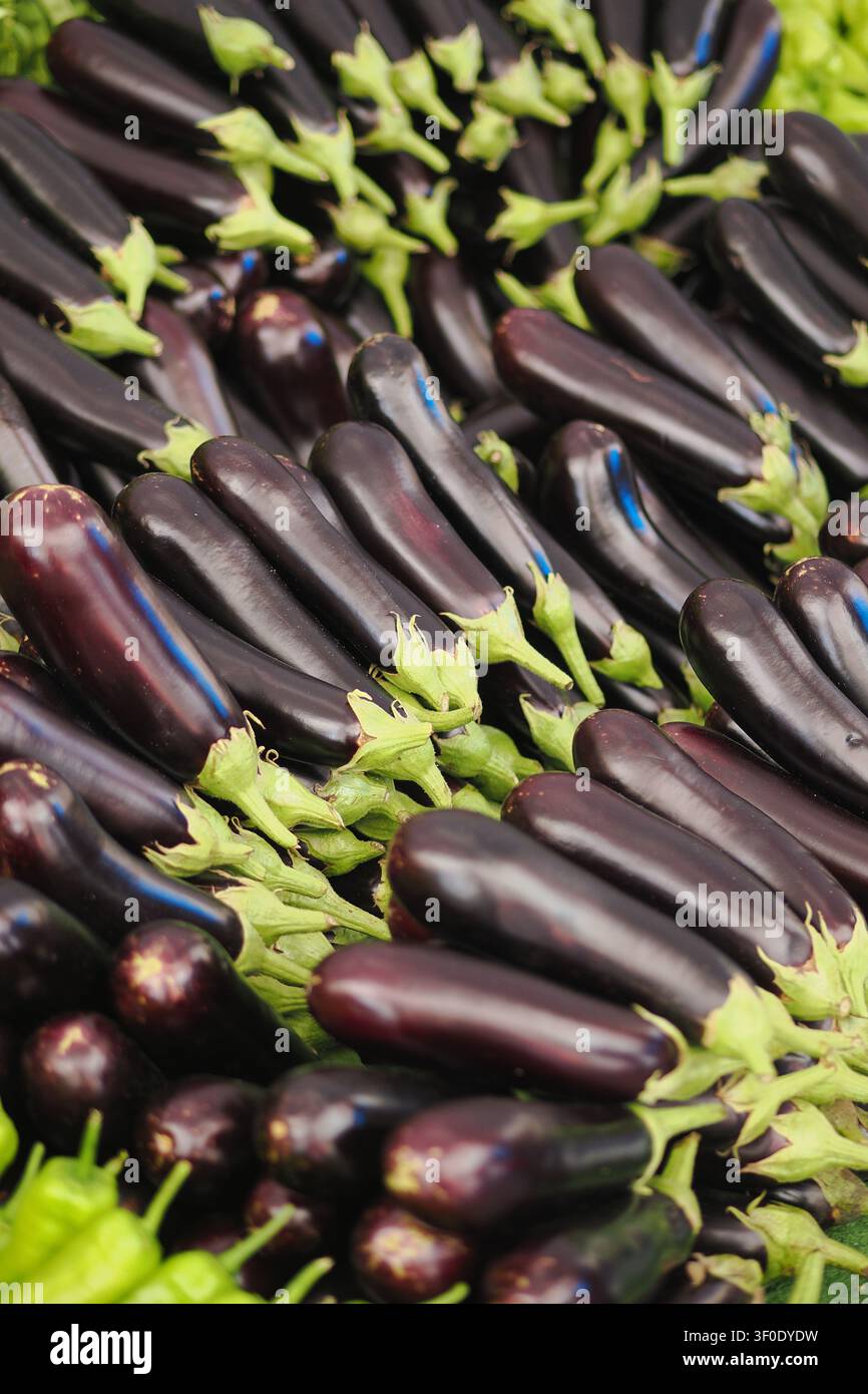 Frische Auberginen bereit für eine farbenfrohe Marktpräsentation Stockfoto