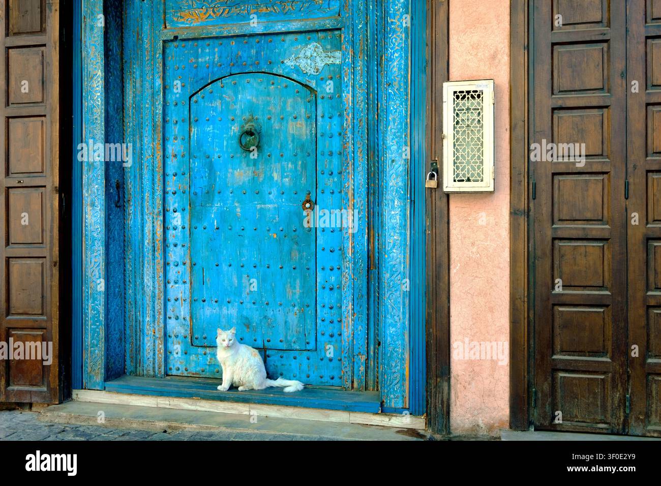 Eine weiße Katze neben einer traditionellen hölzernen Haustür in der Medina, Marrakesch, Marokko, Nordafrika Stockfoto