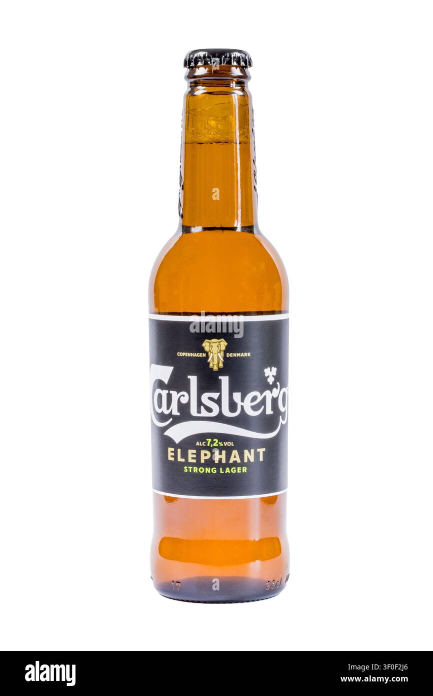 Carlsberg Elephant Bierflasche (33cl) isoliert auf weißem Hintergrund. Stockfoto