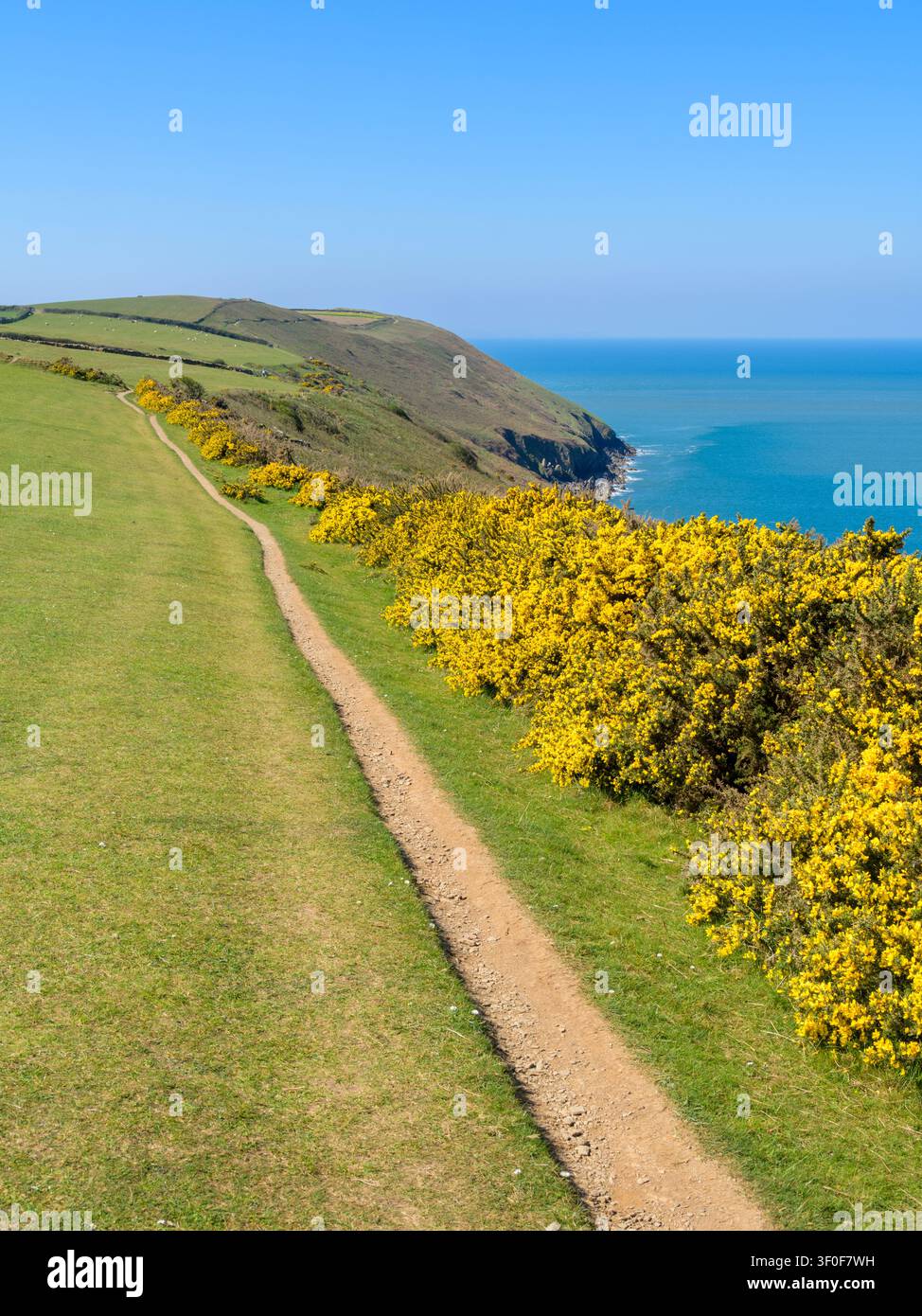 Der King Charles III England Coast Path führt von Putsborough zum Baggy Point im North Devon Coast National Landscape, England. Stockfoto