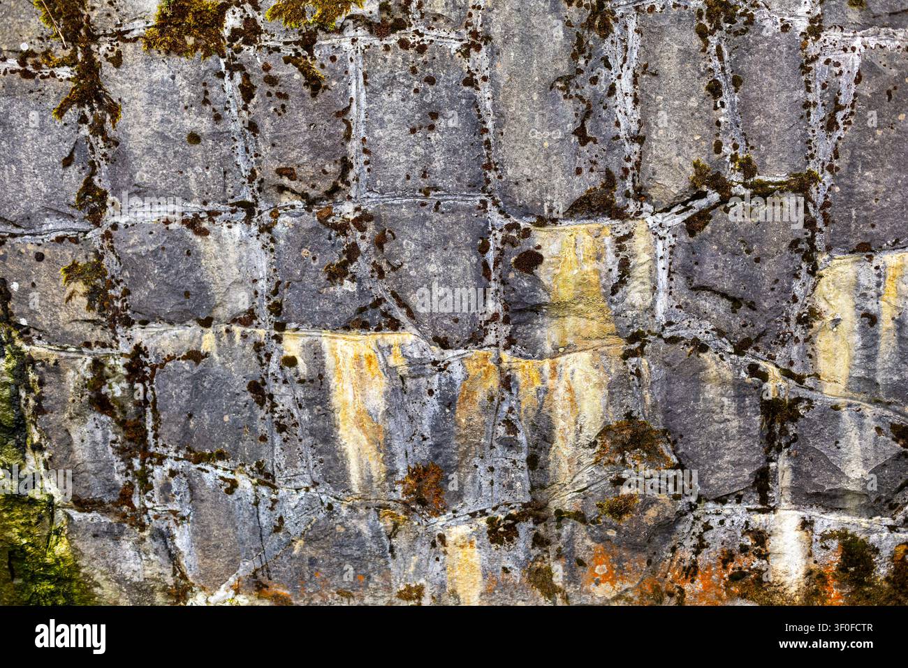 Moosige Steinmauertextur mit Mörtellinien. Moosige graue Steinmauer mit dunklen Platten, hellen Mörtellinien, gelben Flecken, rauer Textur und verwittert Stockfoto