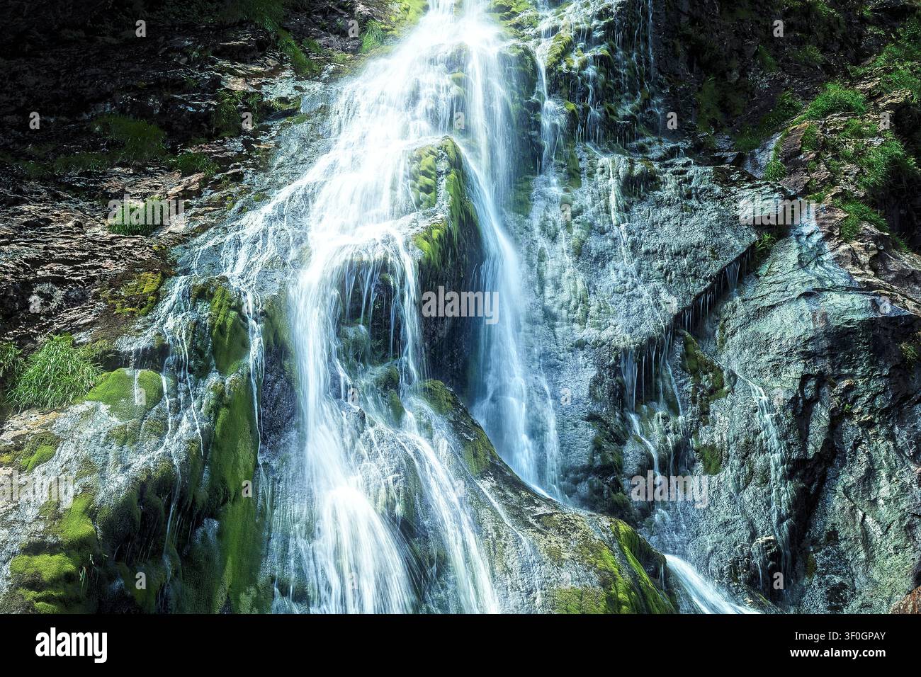 Stürzendes weißes Wasser stürzt über moosige grüne Klippen am Powerscourt-Wasserfall und fließt über schroffe dunkle Felsen in der Grafschaft Wicklow, Irland. Stockfoto